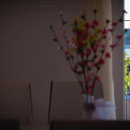 שיבניק Apartments Nakic מראה חיצוני תמונה